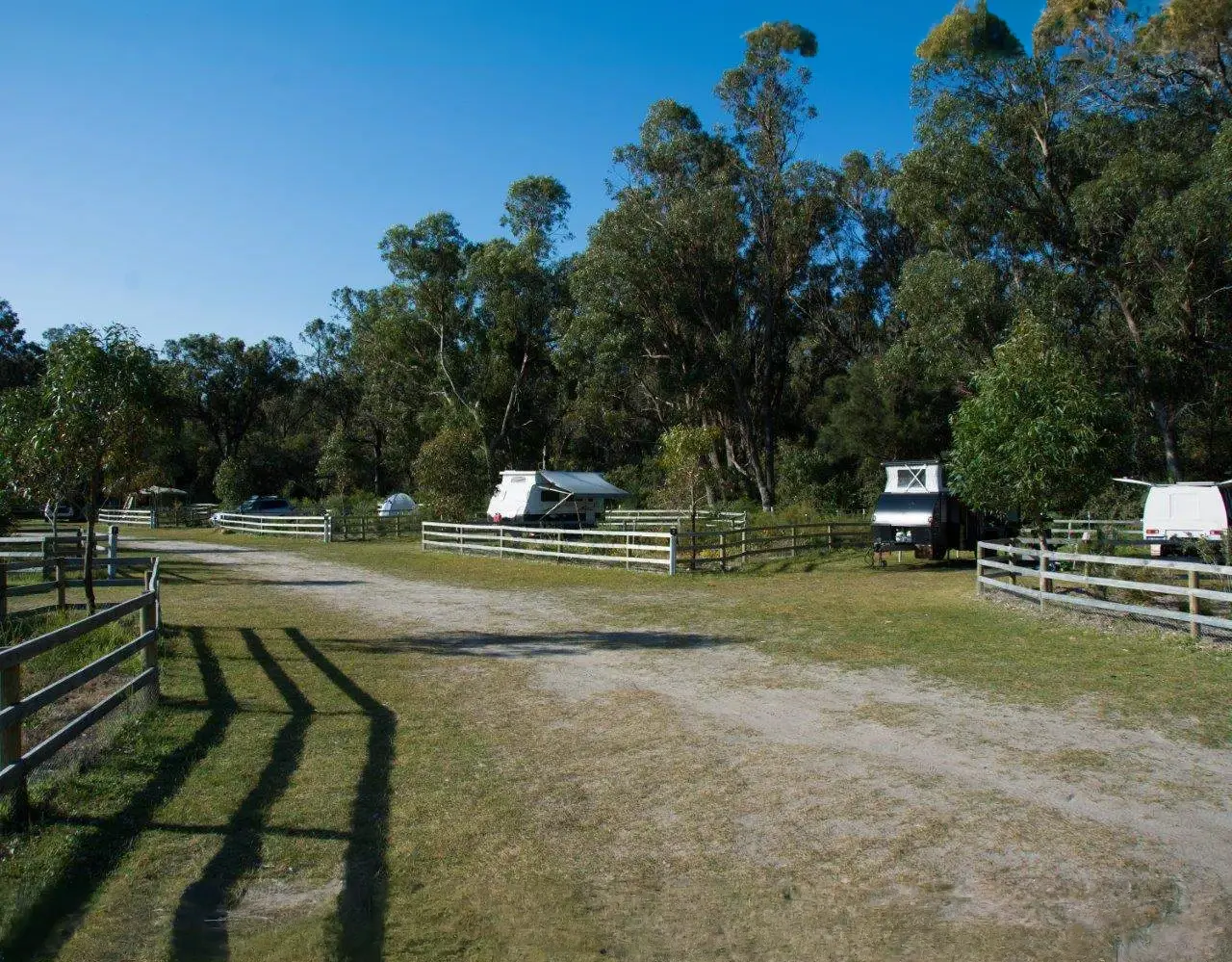 henry white oval campsite