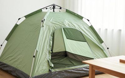 Best Family Camping Tents for 2026: 6 and 8 Person Picks