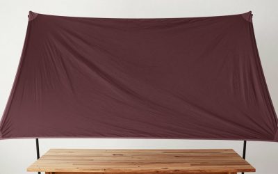 Best Canopy Tents for Shade and Weather Protection