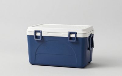 Best Igloo Coolers for Camping and Day Trips (2026)