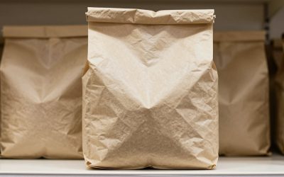 Best Hiking Food Bags for Bear Country and Trail (2026)